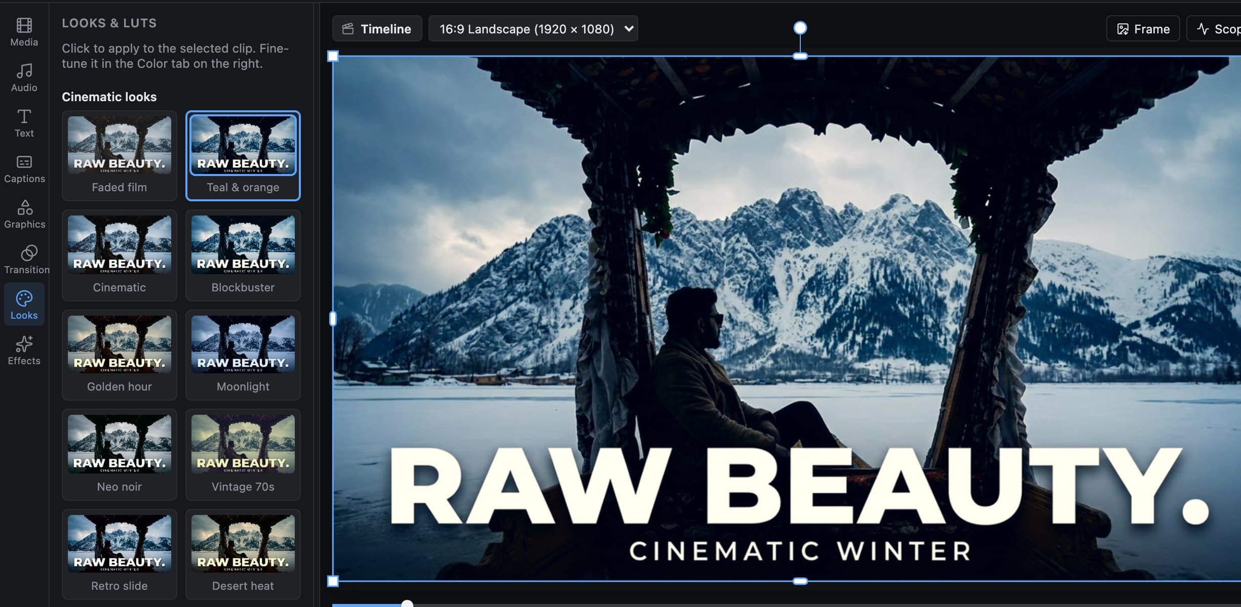 Look previews rendered on the selected film still, next to the preview with the chosen look applied