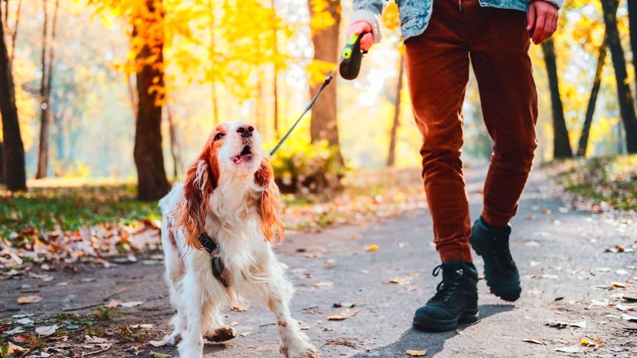 Vibrant Natural Boost - After